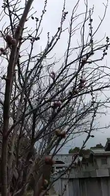比佐豆知神社(三重県)