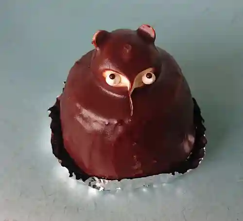 若宮神社(鹿児島県)