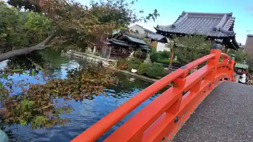 神泉苑(京都府)