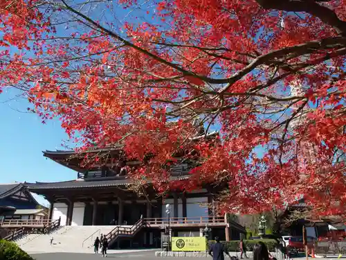 増上寺の本殿・本堂