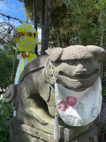 菊田神社の狛犬