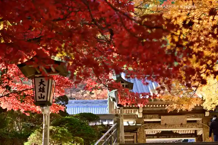 最乗寺(道了尊)(神奈川県)