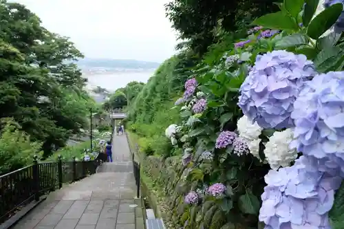 成就院のその他建物