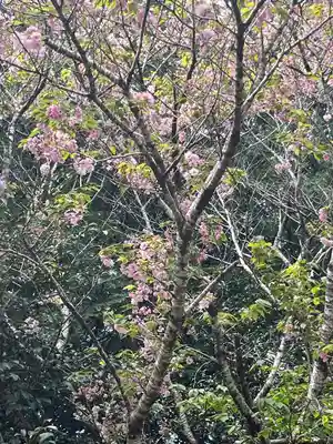 猿田神社(千葉県)