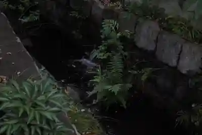 深大寺(東京都)