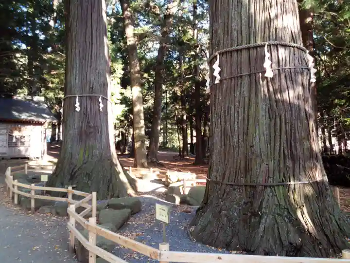 河口浅間神社のその他建物