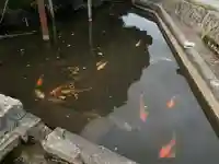 嘉川八幡宮(山口県)