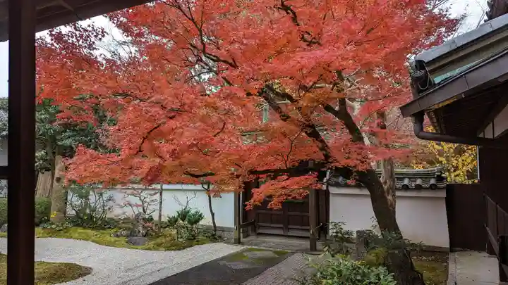 真正極楽寺(真如堂)の自然