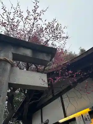 牛天神北野神社(東京都)
