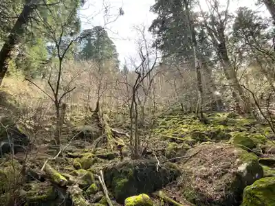 英彦山豊前坊高住神社の周辺