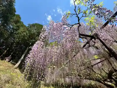 天台宗 五大山 白毫寺(兵庫県)