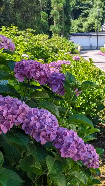 東林院(京都府)