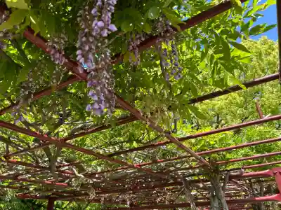 中島天満宮(兵庫県)