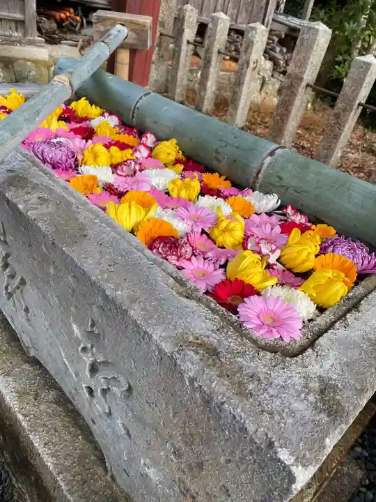柏原八幡宮の手水舎