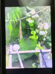 賀茂神社の手水