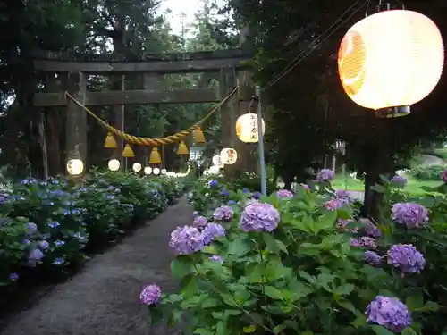 磯山神社の鳥居