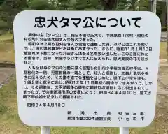 白山神社の歴史