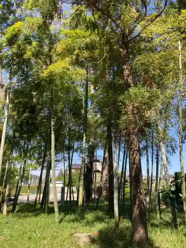 東陽寺(千葉県)