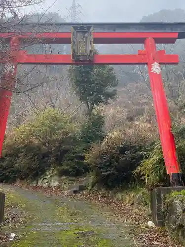 扇之宮稲荷神社の鳥居