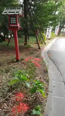 常陸第三宮 吉田神社(茨城県)