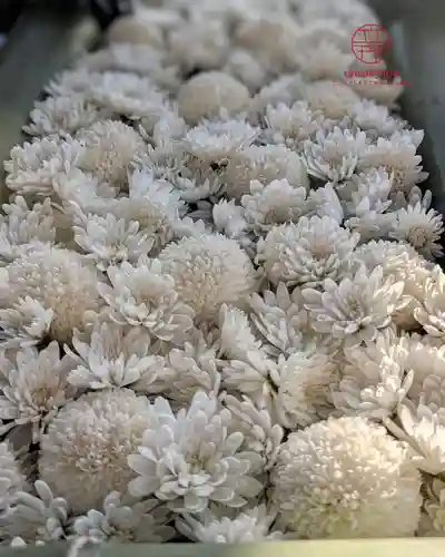 立志神社(滋賀県)