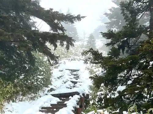 山家神社奥宮東宮の建物その他