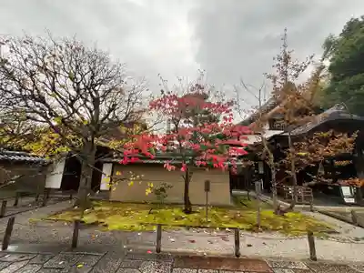 大仙院(京都府)