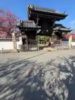 十輪寺(兵庫県)