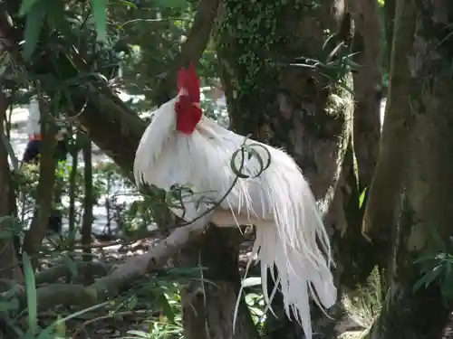 伊勢神宮内宮（皇大神宮）(三重県)