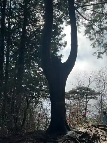 武蔵御嶽神社奥の院(東京都)