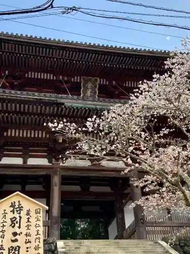 金峯山寺の山門