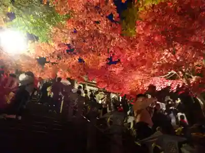大山寺の自然