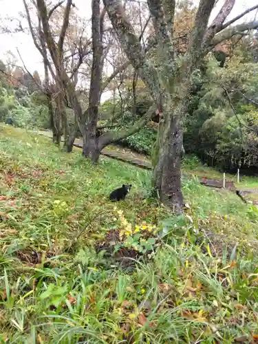 白狐山光星寺(山形県)