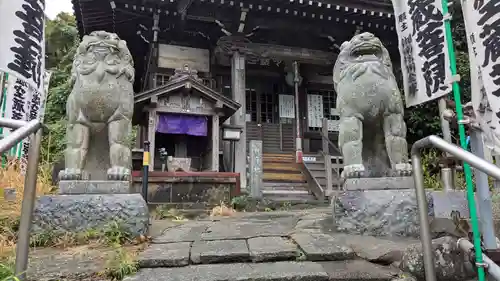 星井寺（ 明鏡山円満院星井寺虚空蔵堂 ）の狛犬