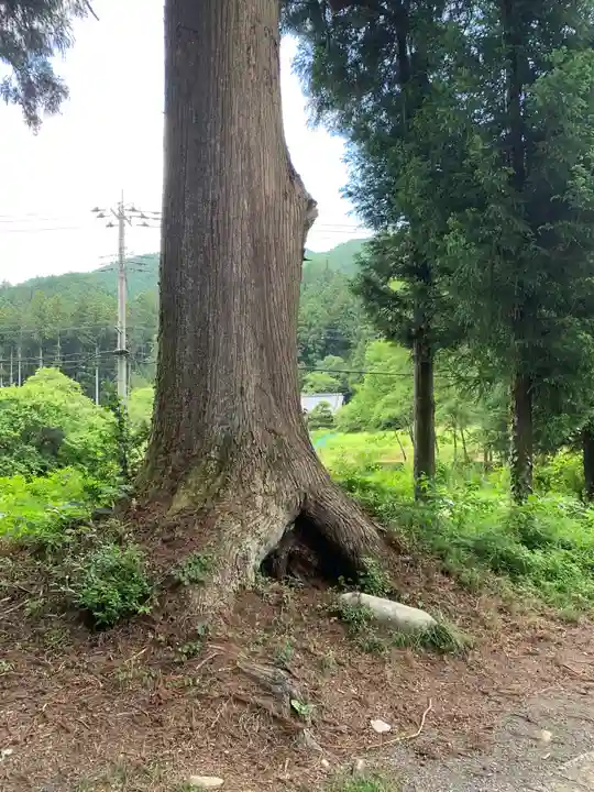 大葦神社の自然