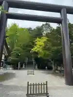 千歳神社の{uncategorized: "未分類", other: "その他", undefined: "問題あり", building: "その他建物", grave: "お墓", sacred_gate: "鳥居", guardian: "狛犬", statue: "像", buddha: "仏像", history: "歴史", nature: "自然", garden: "庭園", animal: "動物", pagoda: "塔", temizu: "手水舎", mountain_gate: "山門・神門", sanctuary: "本殿・本堂", subordinate: "末社・摂社", art: "芸術", scenery: "景色", jizo: "地蔵", ema: "絵馬", goshuin: "御朱印", omikuji: "おみくじ", items: "授与品その他", amulet: "お守り", goshuincho: "御朱印帳", eats: "食事", festival: "お祭り", votive_dance: "神楽", shichigosan: "七五三参", wedding: "結婚式", experience: "体験その他", initially: "初詣", around: "周辺", anti_infection: "感染症対策"}