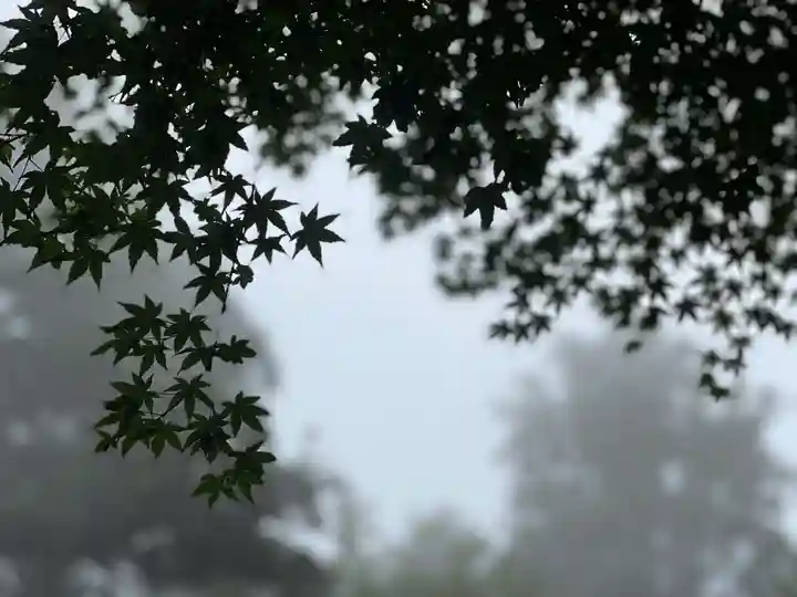 須山浅間神社の自然
