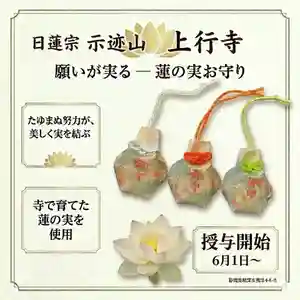 上行寺(静岡県) 2026年06月08日(月)〜(2026年06月08日(月) 11時26分03秒投稿)