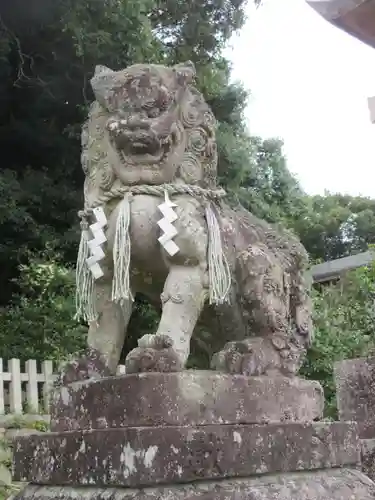 朝代神社の狛犬