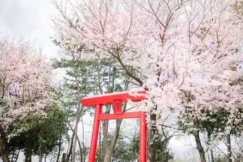 尾張猿田彦神社の鳥居