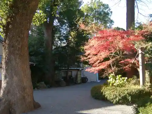 阿佐ヶ谷神明宮の景色