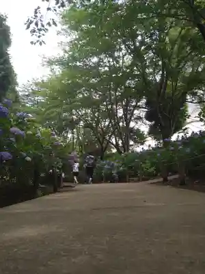 東本願寺本廟 牛久浄苑(牛久大仏)(茨城県)