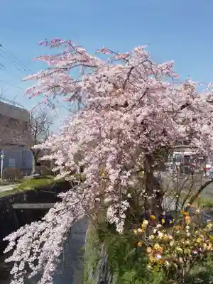 弥勒院(京都府)