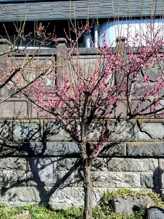 成田山深川不動堂(新勝寺東京別院)(東京都)