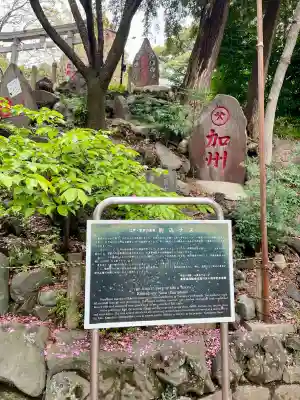 駒込富士神社(東京都)