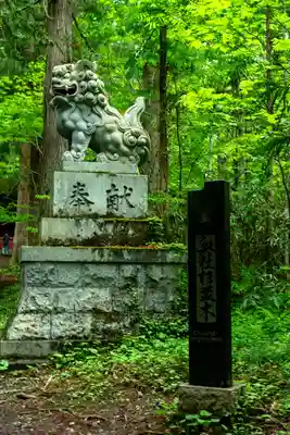 戸隠神社奥社(長野県)