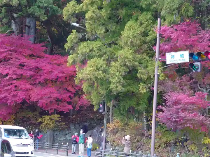 本宮神社(日光二荒山神社別宮)の自然