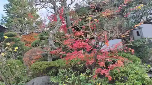霊源院(京都府)