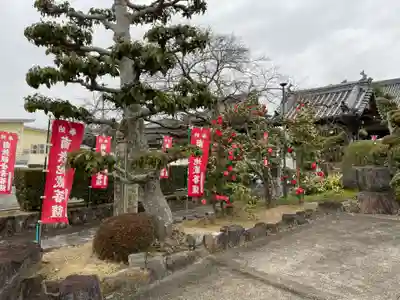 多聞寺(兵庫県)