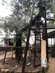 湊川神社の建物その他